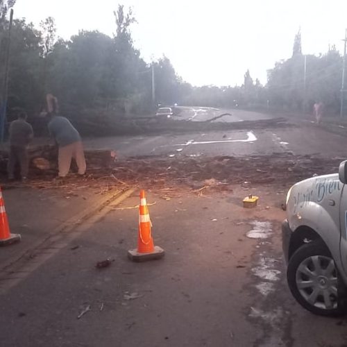 Liberación de Ruta 20 a cargo del equipo de emergencia de la Municipalidad de 9 de Julio