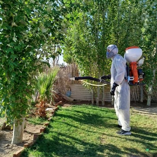 La Municipalidad de 9 de Julio, a través del área de Servicios, avanza con el operativo de fumigación