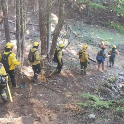 Actualización de labores contra incendios en la provincia de Río Negro