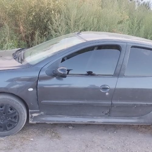 Dos sujetos aprehendidos tras el robo de varios efectos