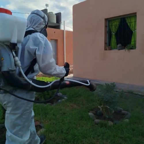 La Municipalidad de 9 de Julio avanza con el plan de fumigación