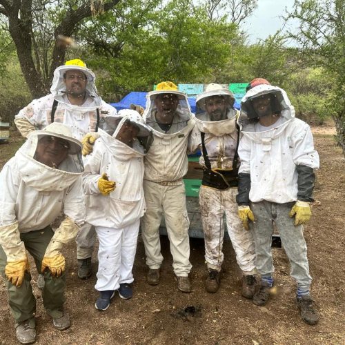 Finalizó el Curso de Iniciación Apícola en Valle Fértil