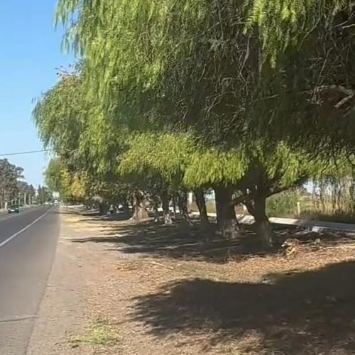 9 de Julio avanza con la limpieza total de la Ruta Nacional N°20