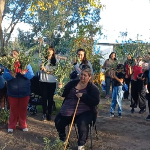 Domingo de Ramos en La Majadita