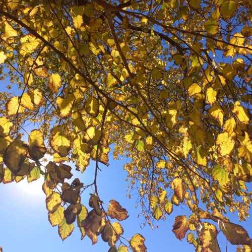 Martes: ¿sigue el clima otoñal?