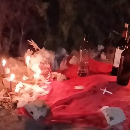 Las imágenes que causan indignación: en el día del animal, realizaron un ritual con un perro y una gallina