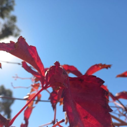 Miércoles, otro día a pleno sol