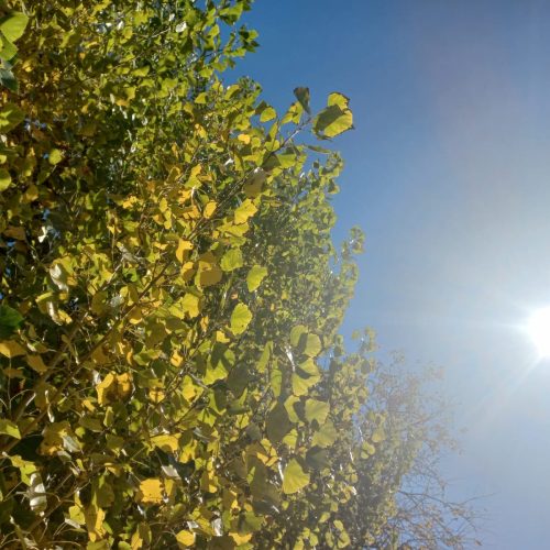 Se espera un viernes con 25° de máxima