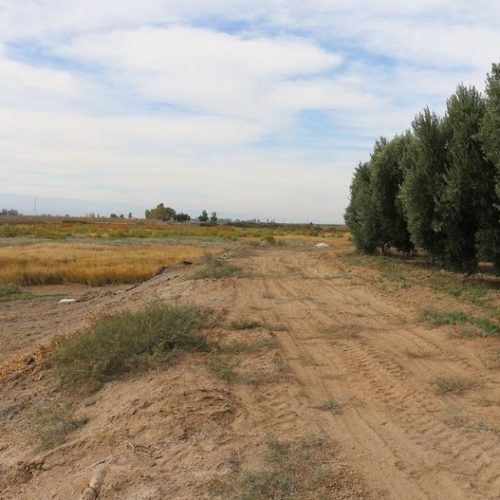 Eco Trekking en Dique Bello: 9 de Julio y Rawson se unen para una jornada deportiva