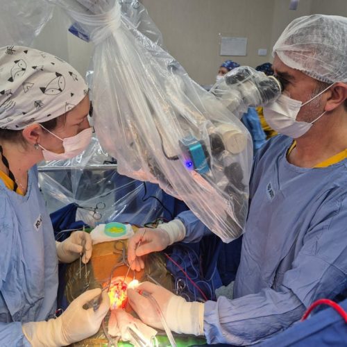 En San Juan se realizó una primera cirugía que abre un camino de crecimiento