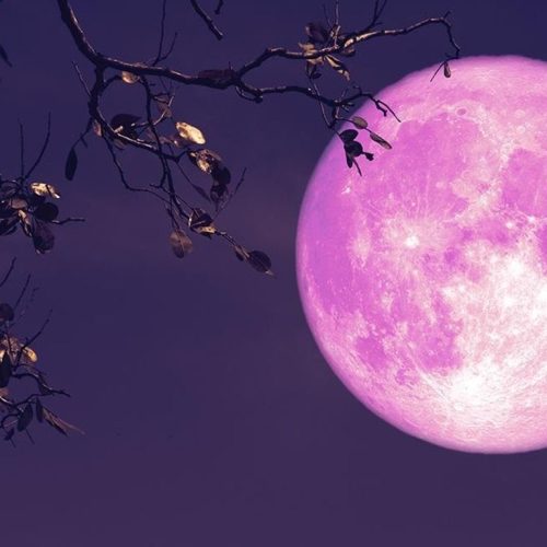 Estos son los fenómenos astronómicos del mes que no te podés perder