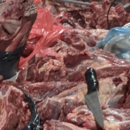 Secuestraron 80 kilos de carne faenada en un operativo en Vallecito