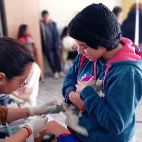 Nueva jornada de atención veterinaria gratuita en San Martín