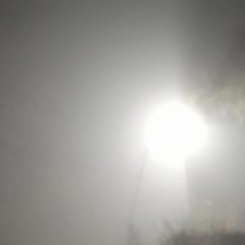Nuevamente 9 de Julio amaneció cubierto por una intensa neblina