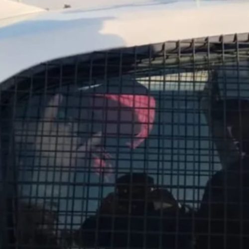 El sospechoso de la amenaza de bomba contra Lali se desquita con la prensa