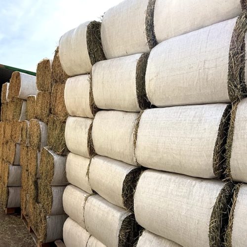 Una empresa nuevejulina exportó fardos de alfalfa a Dubai