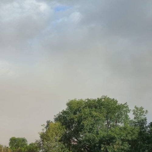 Prepárate: el SMN anuncia viento zonda
