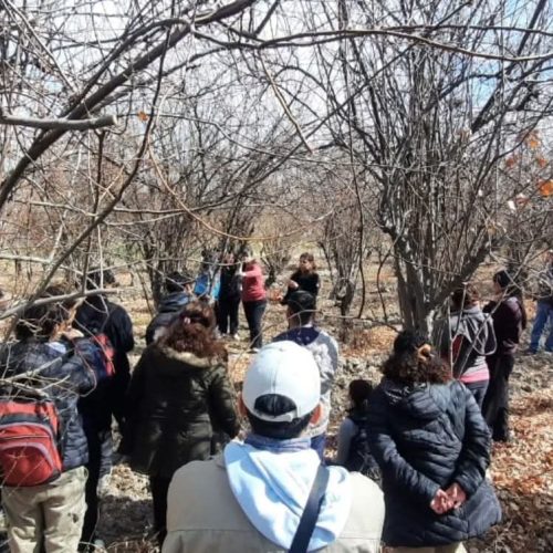 San Martín realizó una capacitación sobre poda e injerto