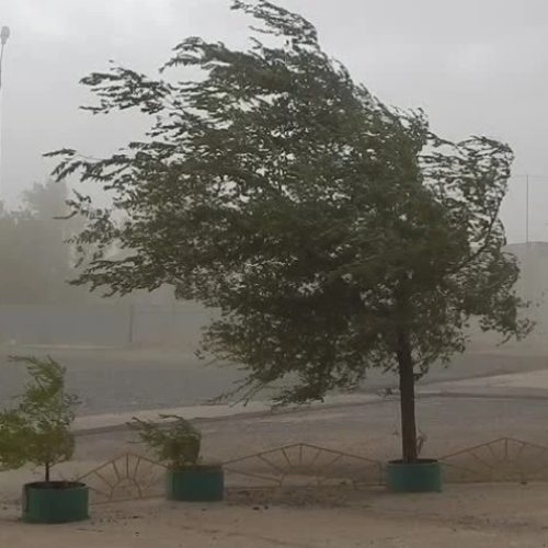 Mirá los departamentos en alerta por fuertes vientos