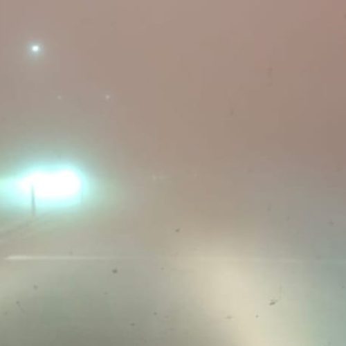 Corte de electricidad y caída de árboles en Ullum debido al fuerte viento
