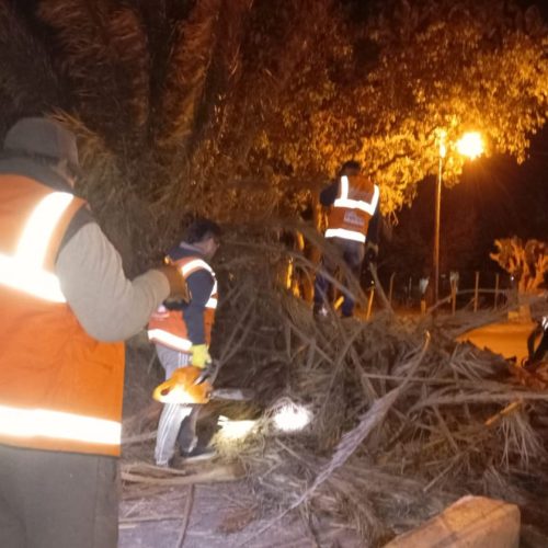 Cuadrillas del equipo de servicios trabajan en diferentes zonas de 9 de Julio debido al fuerte viento
