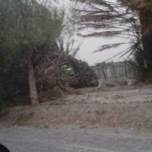Informe del daño por el viento
