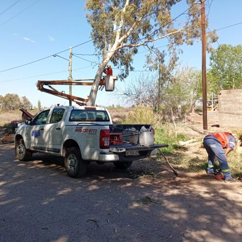 Múltiples tareas para la urbanización del lote Torino