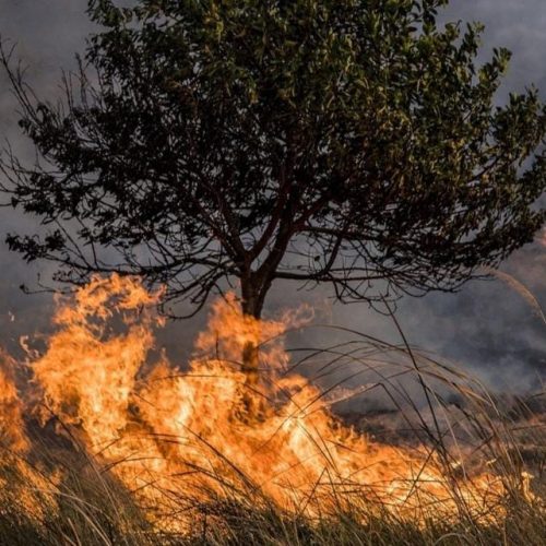 Intervenciones por viento Zonda: más de 40 incendios en distintas zonas de San Juan