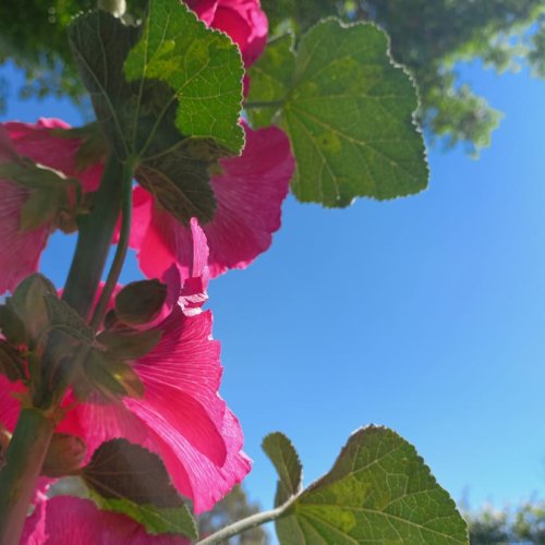 Lunes primaveral