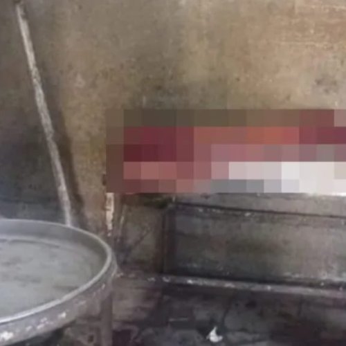 Carnicería clandestina en Rawson: vendían carne de caballo como si fuera de vaca