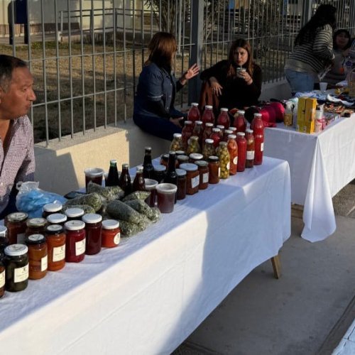Feria Agroproductiva en 9 de Julio: calidad, buenos precios y espíritu local