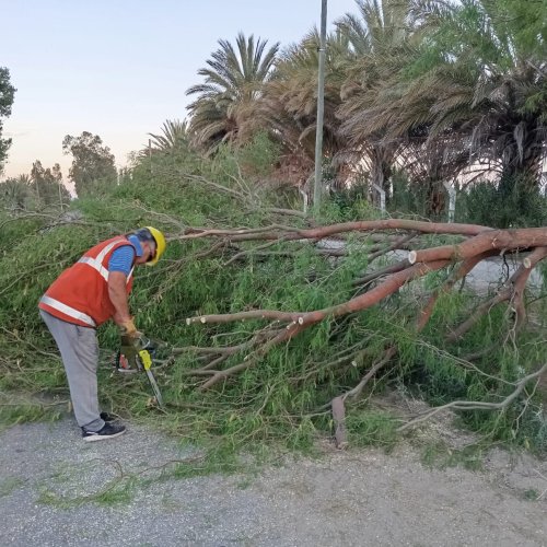 La cuadrilla de emergencia del Área de Ambiente de la Municipalidad de 9 de Julio realizó tareas de despeje en calle Bilbao
