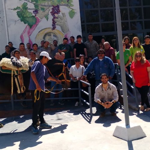 San Martín realizó una jornada de capacitación sobre primeros auxilios en equinos