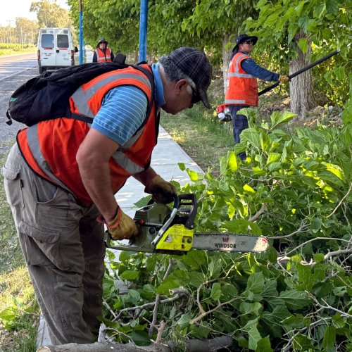 9 de Julio continúa impulsando su plan de limpieza