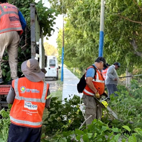 9 de Julio continúa impulsando su plan de limpieza
