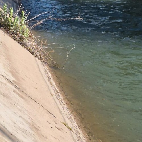 Rescatan a un perro que estaba atado en el canal