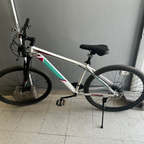 Rivadavia: detienen a un sujeto con bicicleta robada