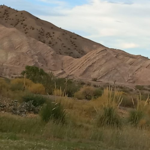 Sube la temperatura: el calor volverá a sentirse