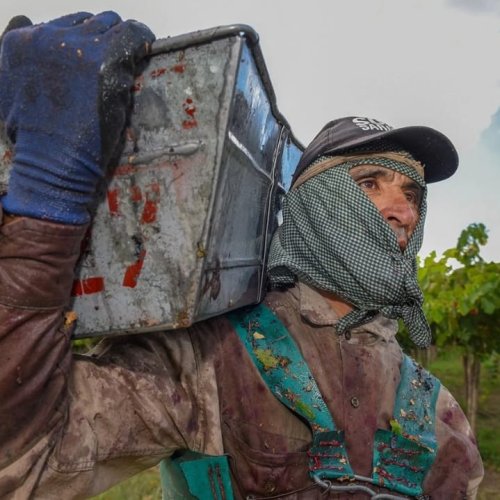 Orrego lanzó un plan de $11.000 millones para financiar la cosecha y elaboración de sectores agroindustriales