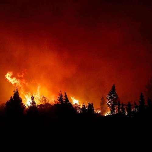 Incendios en Chubut: ya se quemaron más de 22 mil hectáreas y alertan por el futuro de los bosques nativos