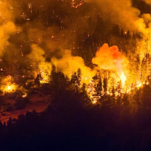 Fuego descontrolado: Chubut lucha contra los incendios