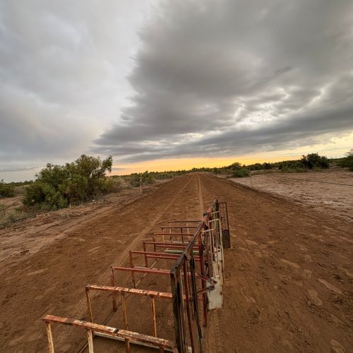 Desbaratan una carrera de caballos clandestina en La Chimbera
