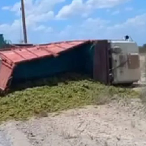 Video: un camión con uvas vuelca en Sarmiento y la mercadería se desparrama