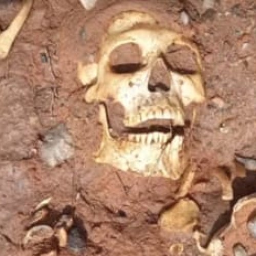 Restos óseos en Marayes: serían de al menos tres personas