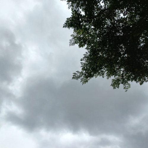 Llegó el alivio a San Juan: un frente frío modifica el tiempo en los próximos días