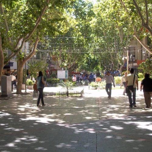 ¿Cómo funcionarán los servicios este fin de semana largo?