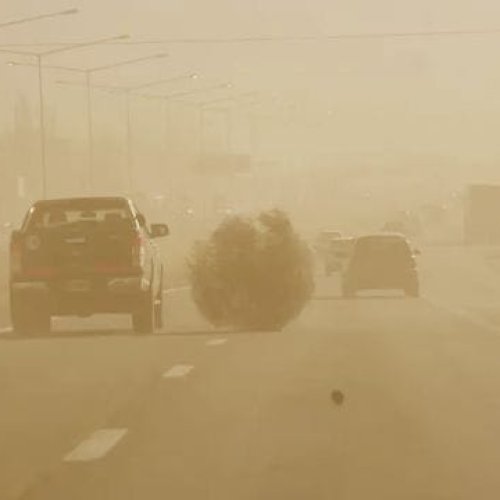 Alerta por viento sur para 9 de Julio y departamentos aledaños