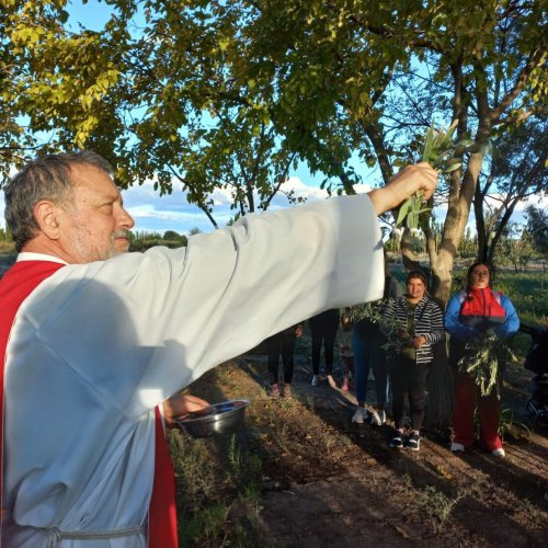 Domingo de Ramos en 9 de Julio: horarios y lugares para la bendición de ramos
