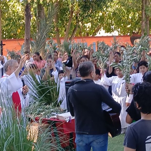 Domingo de Ramos en 9 de Julio: familias unidas en la fe
