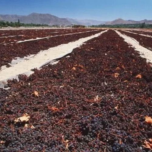 Afincados de 9 de Julio expusieron la situación con la inseguridad, buscan llegar y hablar con jueces en la justicia